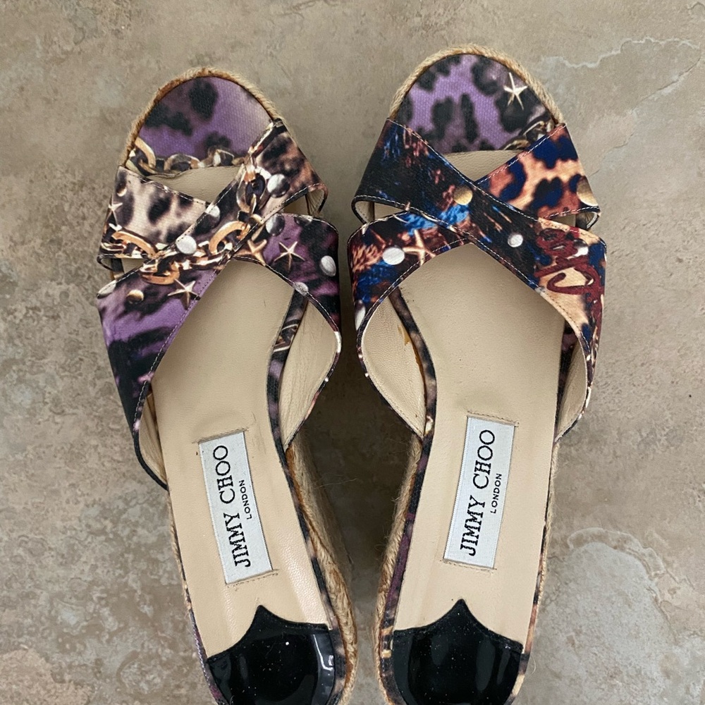 Jimmy Choo Purple and Blue Espadrilles